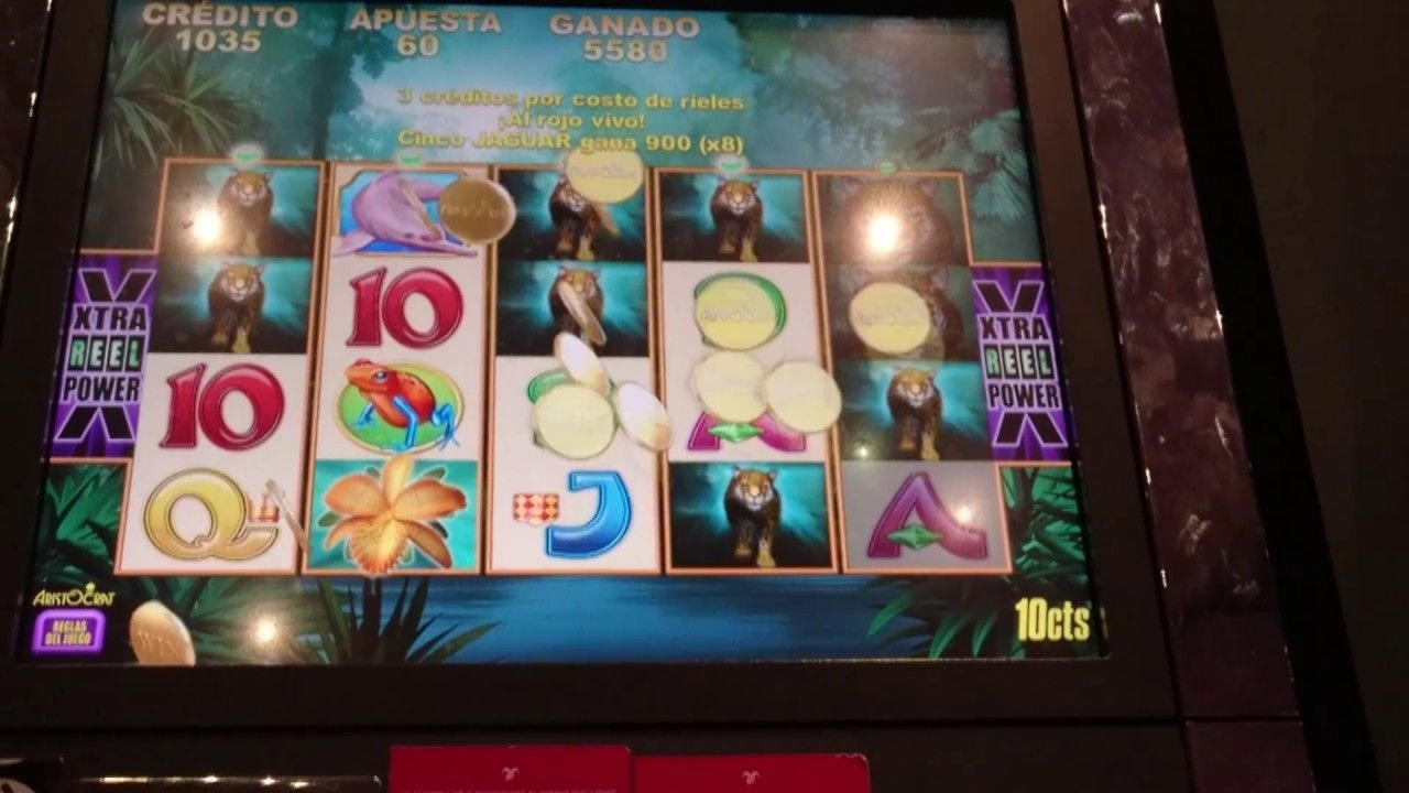 €820 Casino tournaments freeroll at Slotscom Casino